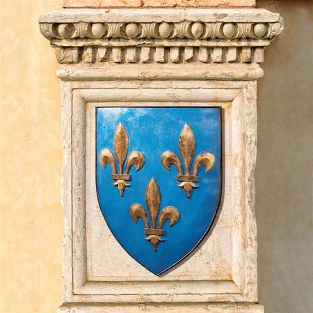 DESIGN TOSCANO Grand Arms of France Wall Shield Collection- Fleur-de-Lis Shield CL47033